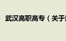 武汉高职高专（关于武汉高职高专的介绍）