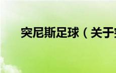 突尼斯足球（关于突尼斯足球的介绍）