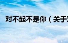 对不起不是你（关于对不起不是你的介绍）