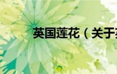 英国莲花（关于英国莲花的介绍）