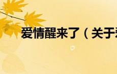 爱情醒来了（关于爱情醒来了的介绍）