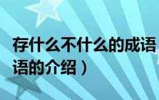 存什么不什么的成语（关于存什么不什么的成语的介绍）