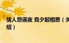 情人怨遥夜 竟夕起相思（关于情人怨遥夜 竟夕起相思的介绍）