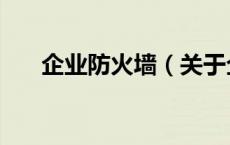 企业防火墙（关于企业防火墙的介绍）