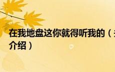 在我地盘这你就得听我的（关于在我地盘这你就得听我的的介绍）