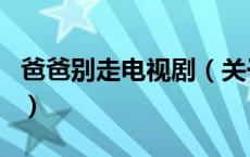 爸爸别走电视剧（关于爸爸别走电视剧的介绍）