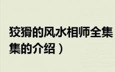 狡猾的风水相师全集（关于狡猾的风水相师全集的介绍）