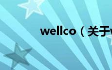 wellco（关于wellco的介绍）