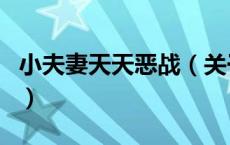 小夫妻天天恶战（关于小夫妻天天恶战的介绍）
