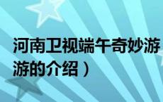 河南卫视端午奇妙游（关于河南卫视端午奇妙游的介绍）