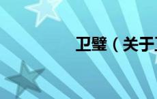 卫璧（关于卫璧的介绍）