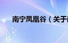 南宁凤凰谷（关于南宁凤凰谷的介绍）