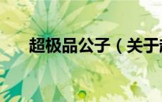 超极品公子（关于超极品公子的介绍）