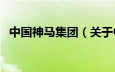中国神马集团（关于中国神马集团的介绍）