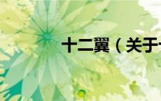 十二翼（关于十二翼的介绍）