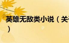 英雄无敌类小说（关于英雄无敌类小说的介绍）