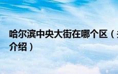 哈尔滨中央大街在哪个区（关于哈尔滨中央大街在哪个区的介绍）