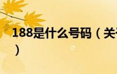 188是什么号码（关于188是什么号码的介绍）