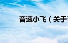 音速小飞（关于音速小飞的介绍）