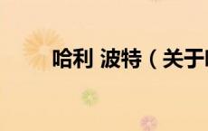 哈利 波特（关于哈利 波特的介绍）