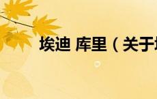 埃迪 库里（关于埃迪 库里的介绍）