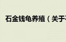 石金钱龟养殖（关于石金钱龟养殖的介绍）