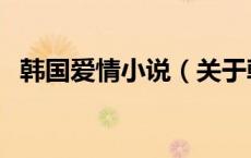 韩国爱情小说（关于韩国爱情小说的介绍）