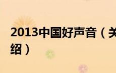2013中国好声音（关于2013中国好声音的介绍）