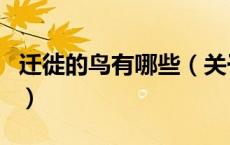 迁徙的鸟有哪些（关于迁徙的鸟有哪些的介绍）