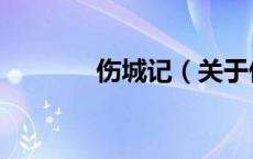 伤城记（关于伤城记的介绍）