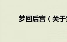 梦回后宫（关于梦回后宫的介绍）