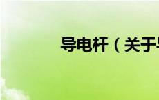 导电杆（关于导电杆的介绍）