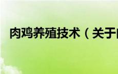 肉鸡养殖技术（关于肉鸡养殖技术的介绍）