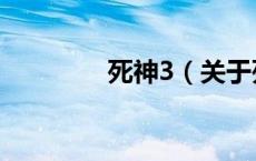 死神3（关于死神3的介绍）