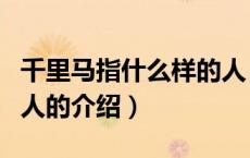 千里马指什么样的人（关于千里马指什么样的人的介绍）