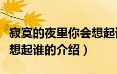 寂寞的夜里你会想起谁（关于寂寞的夜里你会想起谁的介绍）