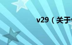 v29（关于v29的介绍）