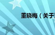 董晓梅（关于董晓梅的介绍）