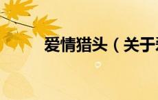 爱情猎头（关于爱情猎头的介绍）