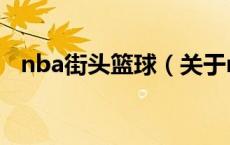 nba街头篮球（关于nba街头篮球的介绍）