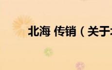 北海 传销（关于北海 传销的介绍）