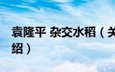 袁隆平 杂交水稻（关于袁隆平 杂交水稻的介绍）