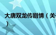大唐双龙传剧情（关于大唐双龙传剧情的介绍）