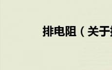 排电阻（关于排电阻的介绍）