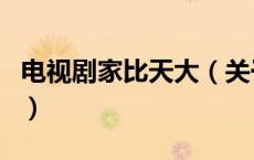 电视剧家比天大（关于电视剧家比天大的介绍）