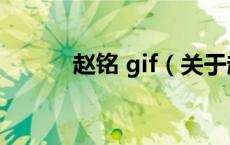赵铭 gif（关于赵铭 gif的介绍）