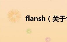 flansh（关于flansh的介绍）