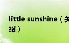 little sunshine（关于little sunshine的介绍）