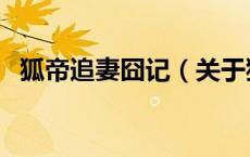 狐帝追妻囧记（关于狐帝追妻囧记的介绍）