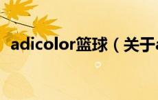 adicolor篮球（关于adicolor篮球的介绍）